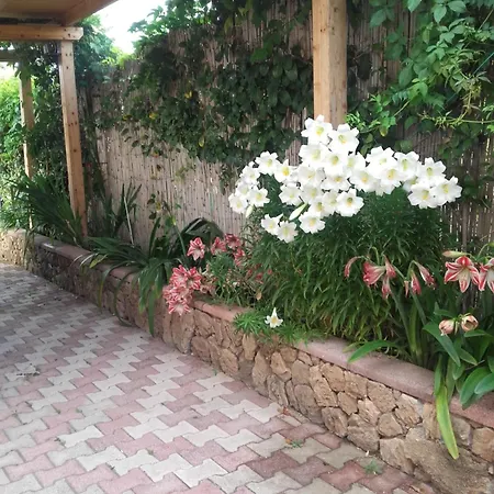 Arenella Apartment
